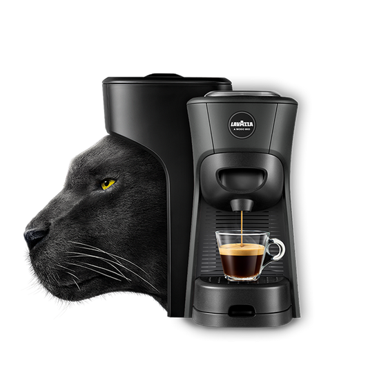 LAVAZZA | TINY ECO A MODO MIO + 100 CAPSULE