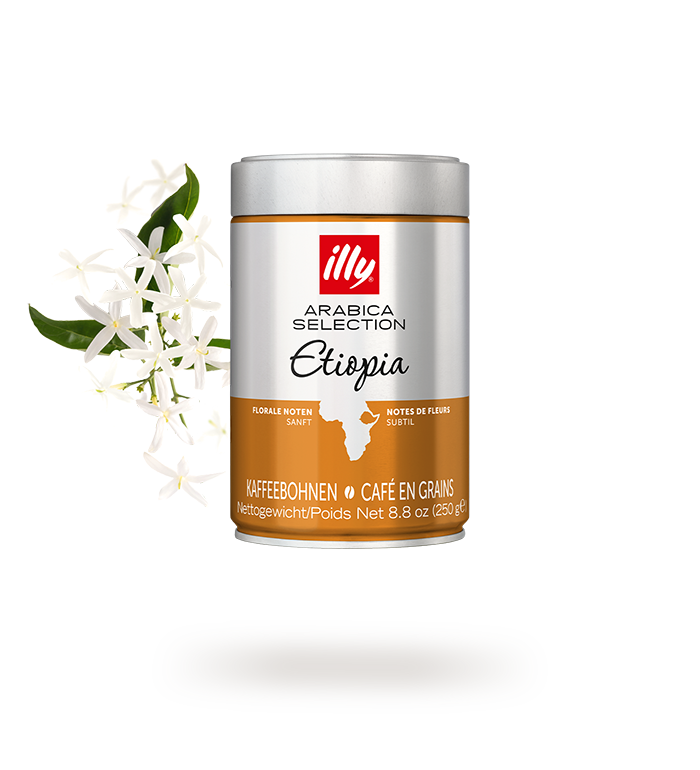 ILLY | GRANI ETIOPIA | 250 GR