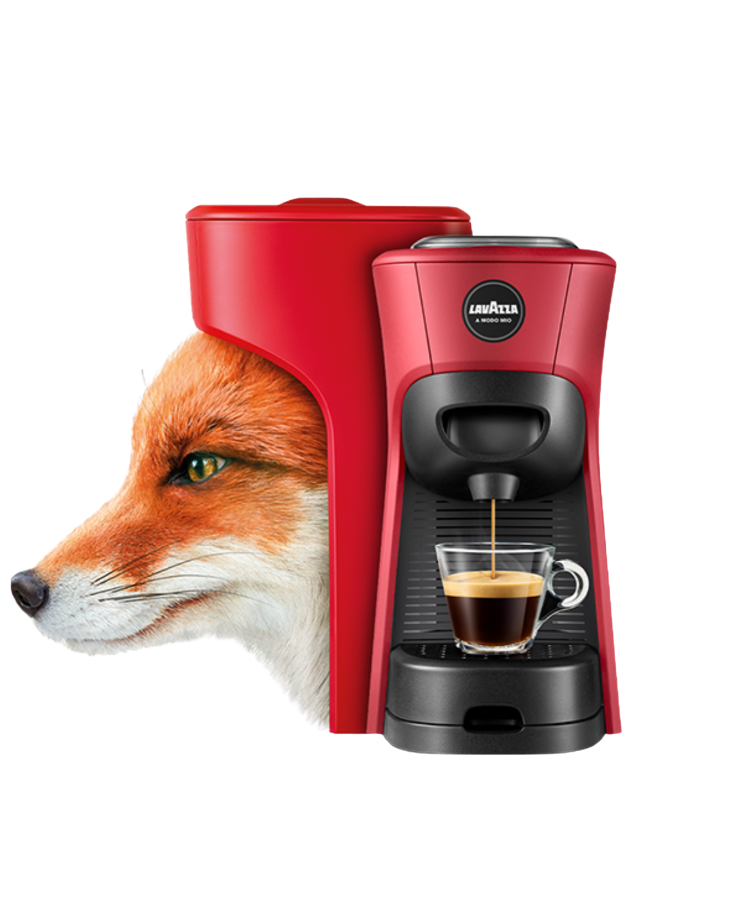 LAVAZZA | PETIT ÉCO À MA FAÇON