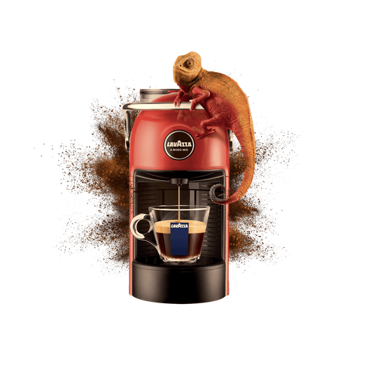 LAVAZZA | JOLIE EVO A MODO MIO + 100 CAPSULE