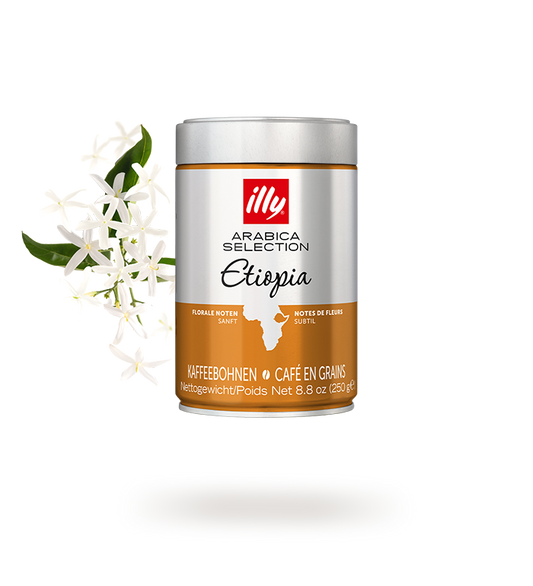 ILLY | GRANI ETIOPIA | 250 GR