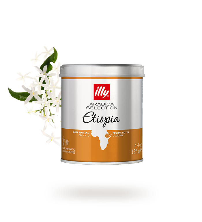 ILLY | MACINATO ETIOPIA | 250 GR