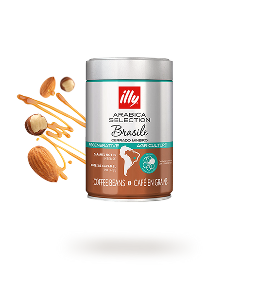 ILLY | GRANI BRASILE | 250 GR